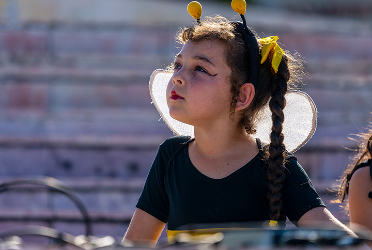 La colmenita de Jarahueca 2